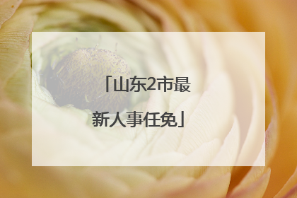 山东2市最新人事任免