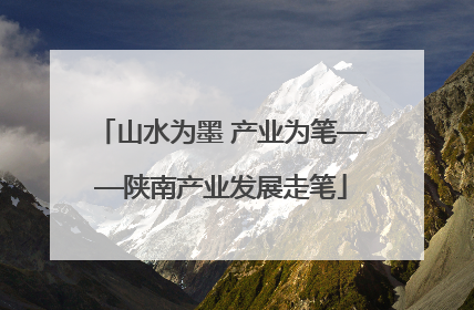 山水为墨 产业为笔——陕南产业发展走笔