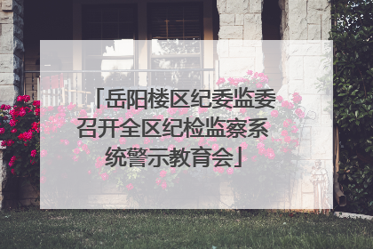 岳阳楼区纪委监委召开全区纪检监察系统警示教育会