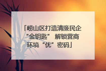 崂山区打造清廉民企“金钥匙” 解锁营商环境“优”密码