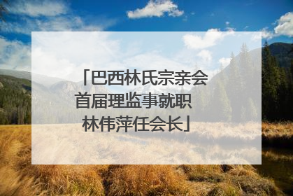 巴西林氏宗亲会首届理监事就职 林伟萍任会长