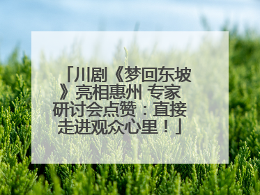 川剧《梦回东坡》亮相惠州 专家研讨会点赞：直接走进观众心里！
