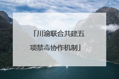 川渝联合共建五项禁毒协作机制