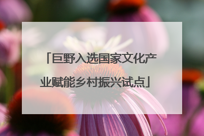 巨野入选国家文化产业赋能乡村振兴试点