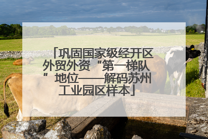 巩固国家级经开区外贸外资“第一梯队”地位——解码苏州工业园区样本