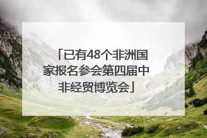 已有48个非洲国家报名参会第四届中非经贸博览会