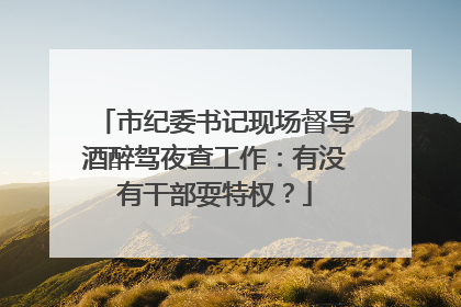 市纪委书记现场督导酒醉驾夜查工作：有没有干部耍特权？