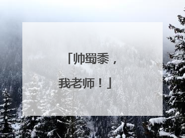 帅蜀黍，我老师！