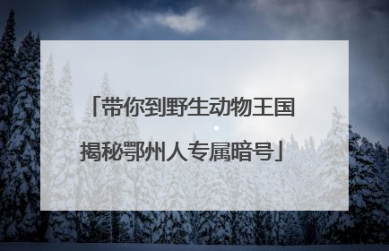 带你到野生动物王国揭秘鄂州人专属暗号
