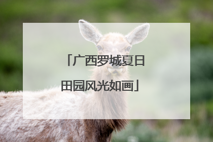 广西罗城夏日田园风光如画