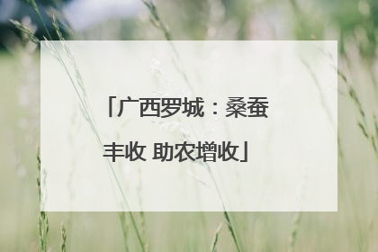 广西罗城：桑蚕丰收 助农增收