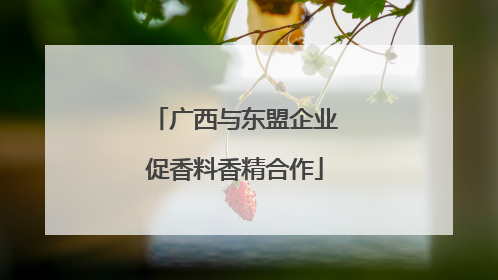 广西与东盟企业促香料香精合作