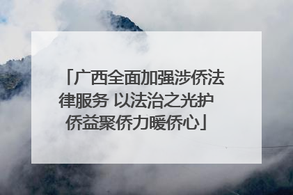 广西全面加强涉侨法律服务 以法治之光护侨益聚侨力暖侨心