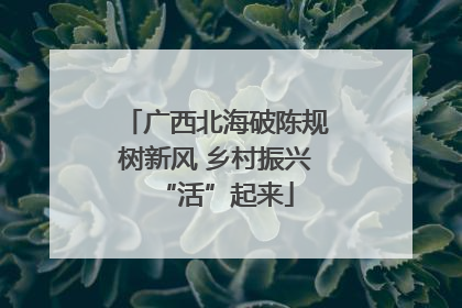 广西北海破陈规树新风 乡村振兴“活”起来