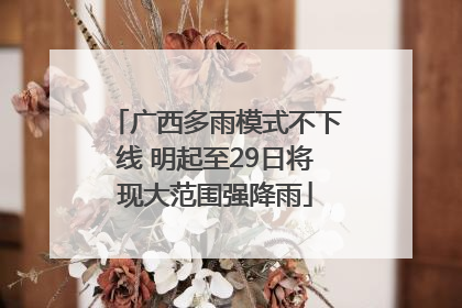 广西多雨模式不下线 明起至29日将现大范围强降雨