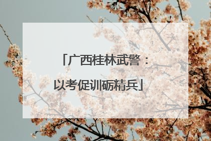 广西桂林武警：以考促训砺精兵