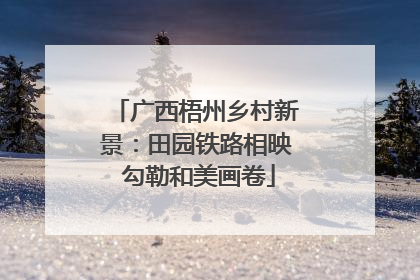 广西梧州乡村新景：田园铁路相映 勾勒和美画卷