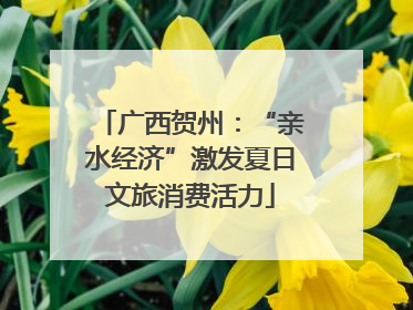 广西贺州：“亲水经济”激发夏日文旅消费活力