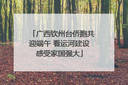广西钦州台侨胞共迎端午 看运河建设感受家国强大