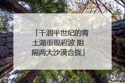 干涸半世纪的青土湖重现碧波 阻隔两大沙漠合拢