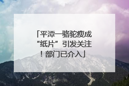 平潭一骆驼瘦成“纸片”引发关注！部门已介入