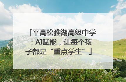 平高松雅湖高级中学：AI赋能，让每个孩子都是“重点学生”