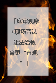 庭审观摩+现场普法 让法治教育更“直观”