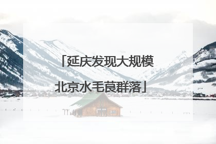 延庆发现大规模北京水毛茛群落