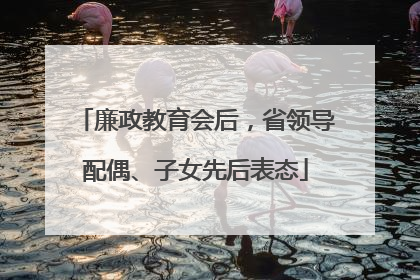 廉政教育会后，省领导配偶、子女先后表态