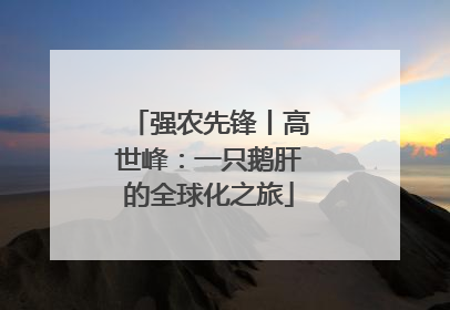 强农先锋丨高世峰：一只鹅肝的全球化之旅