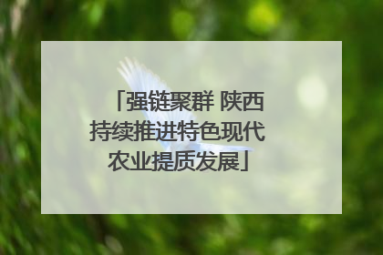 强链聚群 陕西持续推进特色现代农业提质发展