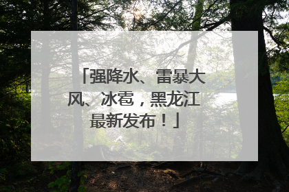 强降水、雷暴大风、冰雹，黑龙江最新发布！