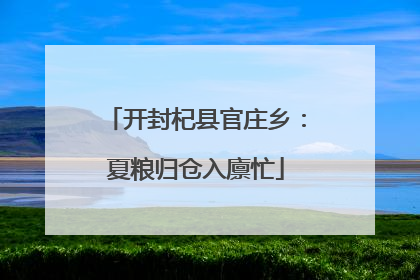 开封杞县官庄乡：夏粮归仓入廪忙