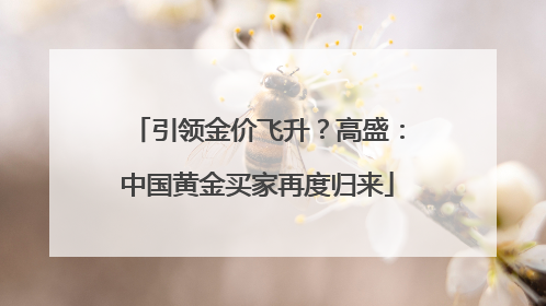 引领金价飞升？高盛：中国黄金买家再度归来