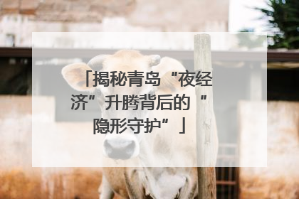 揭秘青岛“夜经济”升腾背后的“隐形守护”
