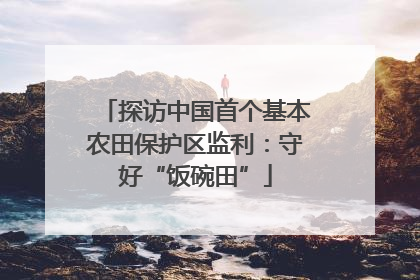 探访中国首个基本农田保护区监利：守好“饭碗田”