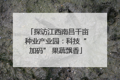 探访江西南昌千亩种业产业园：科技“加码” 果蔬飘香