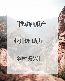 推动西瓜产业升级 助力乡村振兴