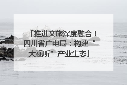 推进文旅深度融合！四川省广电局：构建“大视听”产业生态