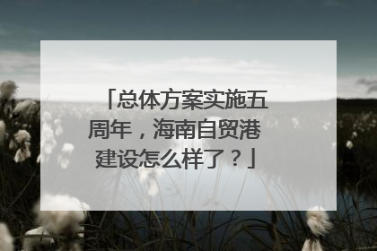 总体方案实施五周年，海南自贸港建设怎么样了？