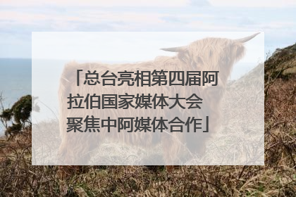 总台亮相第四届阿拉伯国家媒体大会 聚焦中阿媒体合作