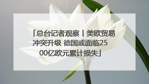 总台记者观察丨美欧贸易冲突升级 德国或面临2500亿欧元累计损失