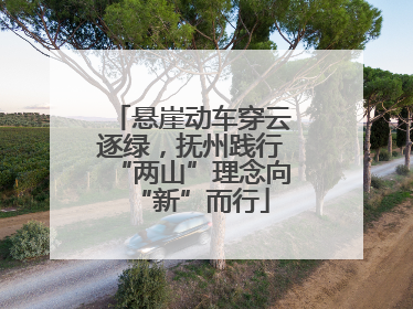 悬崖动车穿云逐绿，抚州践行“两山”理念向“新”而行