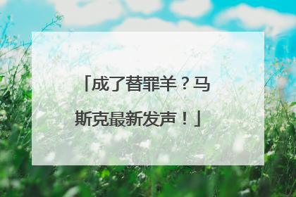成了替罪羊？马斯克最新发声！