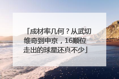 成材率几何？从武切维奇到申京，16顺位走出的球星还真不少
