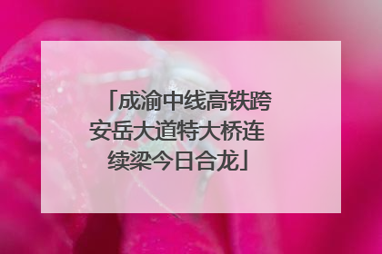 成渝中线高铁跨安岳大道特大桥连续梁今日合龙
