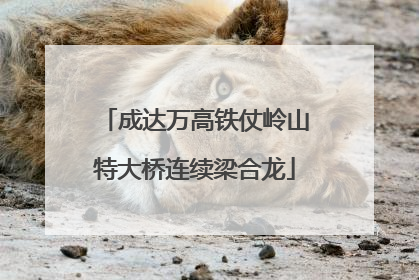 成达万高铁仗岭山特大桥连续梁合龙