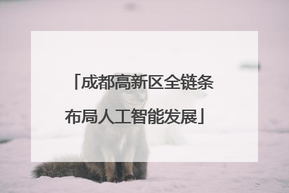 成都高新区全链条布局人工智能发展