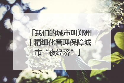 我们的城市叫郑州丨精细化管理保障城市“夜经济”