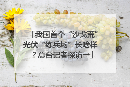 我国首个“沙戈荒”光伏“练兵场”长啥样？总台记者探访→
